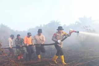 Pelalawan Mulai Dibayangi Karhutla, 2 Hektare Lahan di Desa Telayap Terbakar