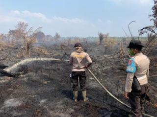 311 Hektare Lahan di Inhu Terbakar, Polisi Masih Selidiki Pelaku Pembakaran