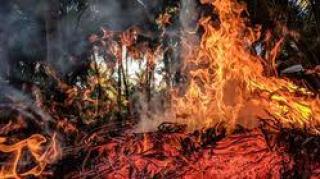 Lahan Seluas 0,5 Hektare di Tanah Merah Kampar Terbakar
