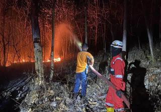 Waspada! BMKG Peringatkan Kebakaran Hutan dan Lahan di Riau Meningkat Hari Ini