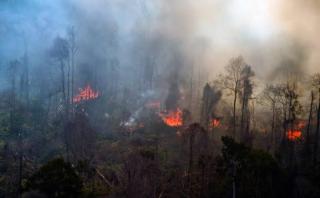 98 Titik Panas Kepung Wilayah Riau, Terbanyak di Pulau Sumatera