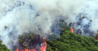 Hari Ini Riau Masih Dikepung Titik Panas, BMKG Identifikasi 42 Hotspot