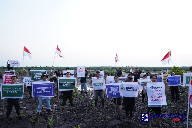 Hari Mangrove Sedunia, BDPN dan PNM Cabang Pekanbaru Bersama UNISI Mengabdi Tanam 7.000 Pohon