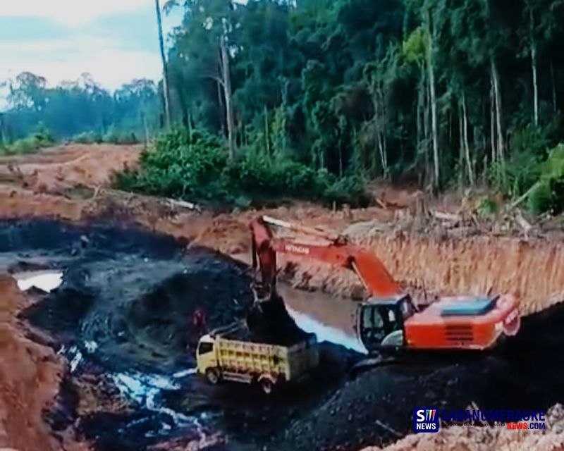 Yayasan Wasinus Gugat Tambang Batubara Dikelola Amben ke PN Tanjung Redep, Diduga Beraktivitas di Hutan Penelitian Labanan Berau