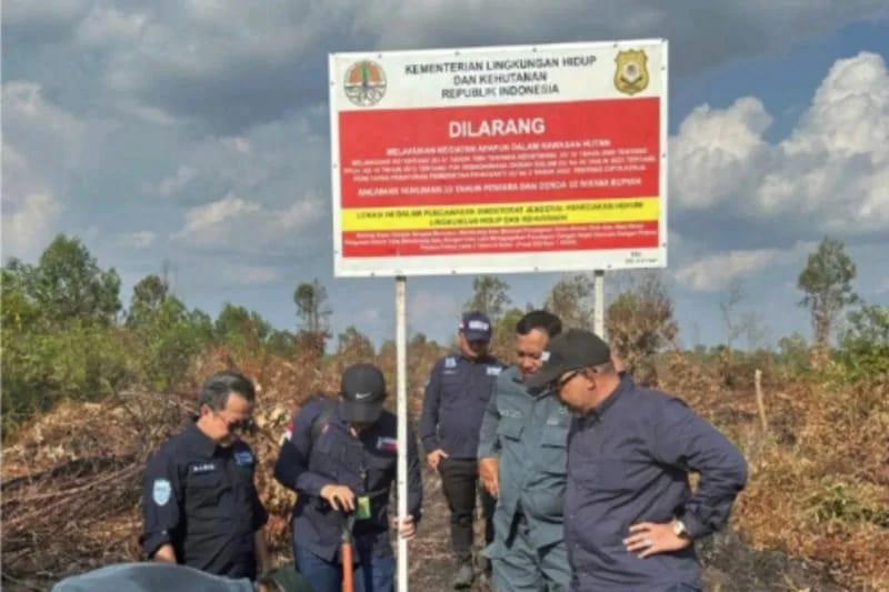 15 Hektare Lahan Terbakar di Karya Indah Kampar Disegel Gakkum KLHK