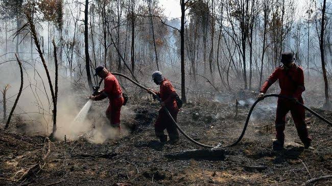 Kampar Susul 8 Kabupaten/Kota di Riau Tetapkan Status Siaga Darurat Karhutla