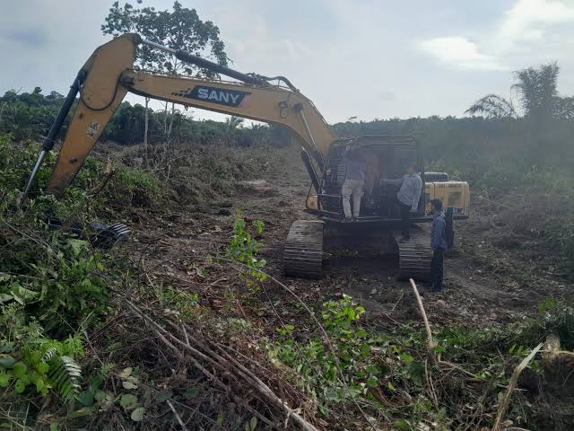 2 Perambah Suaka Margasatwa Bukit Rimbang Baling Ditangkap Polda Riau