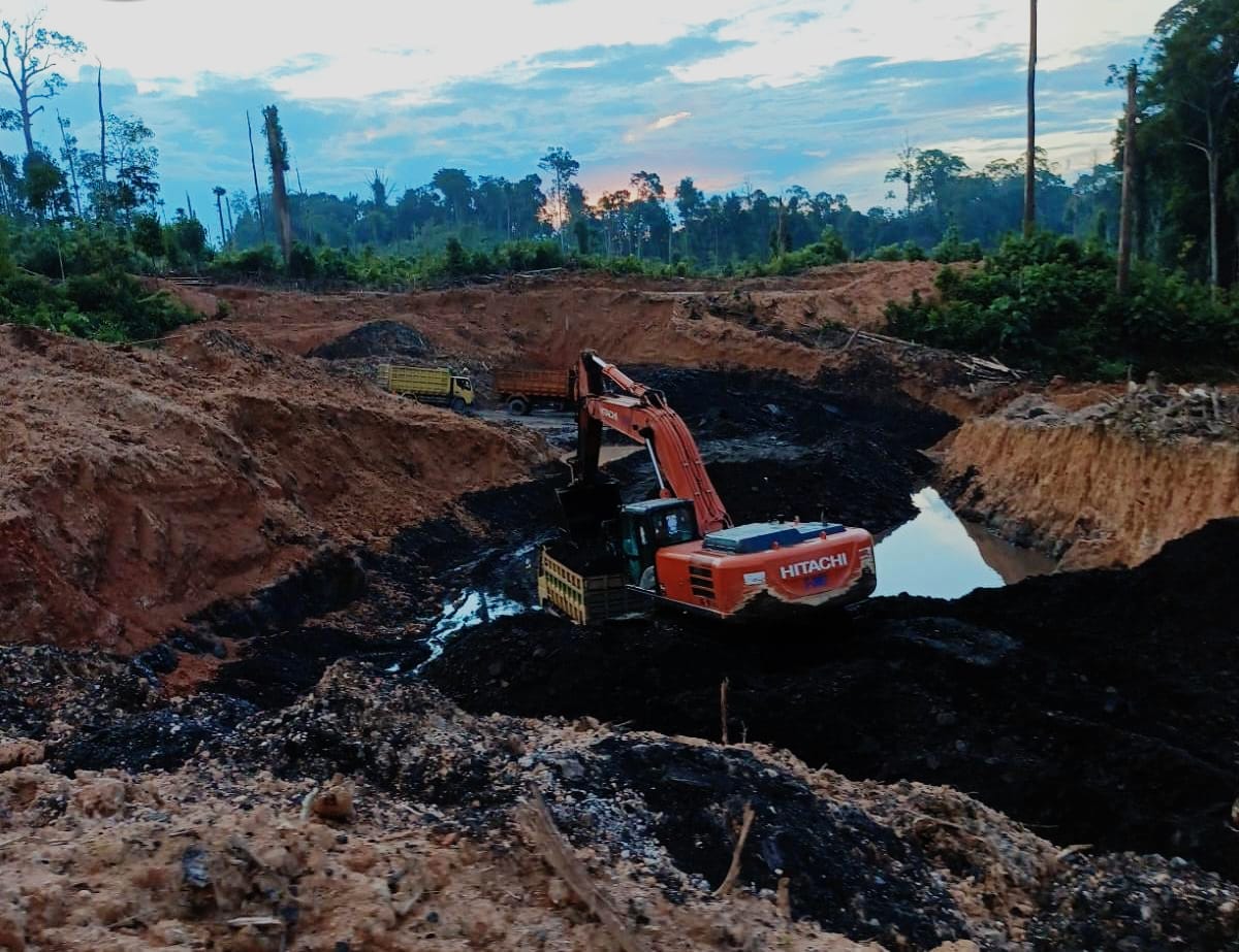 Inilah 5 Konglomerat Indonesia Kaya Raya dari Tambang Batubara