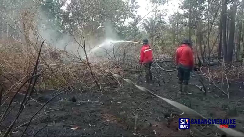 Pekanbaru Tetapkan Status Siaga Darurat Kebakaran Lahan, Ini Alasannya