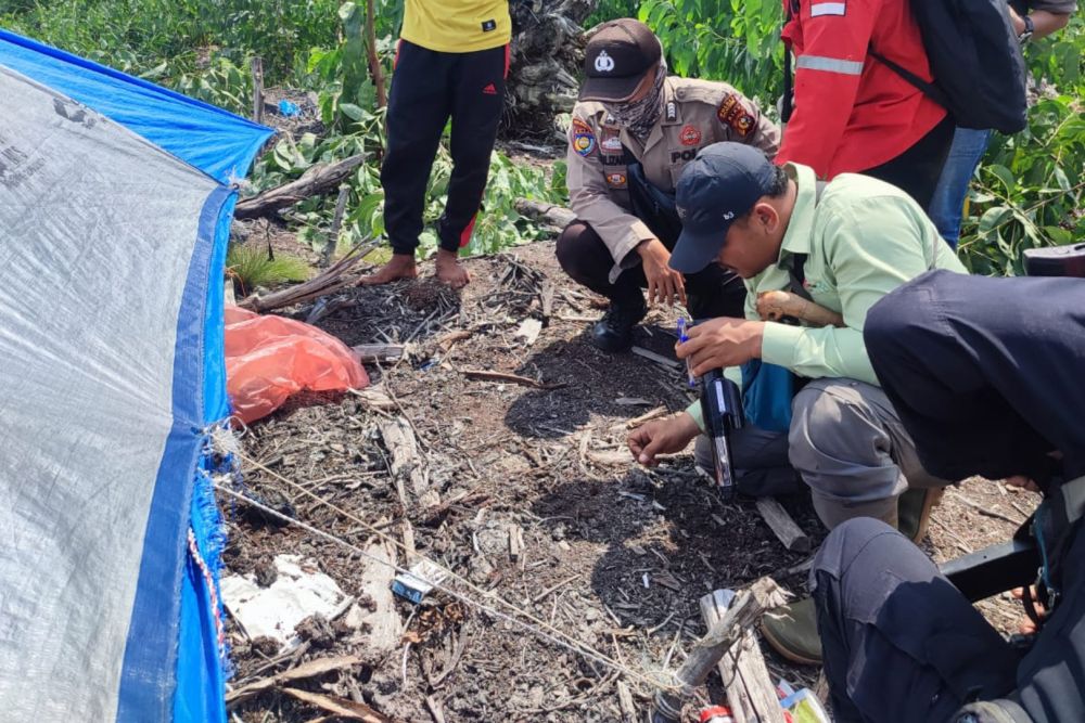 Kronologi Pekerja Akasia di Konsesi PT Arara Abadi Diserang Harimau, Kepala Bagian Belakang Robek Saat Tidur Nyenyak