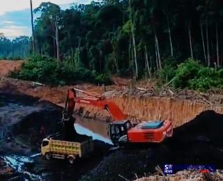 7 Agustus Peringatan Hari Hutan Indonesia, Kini Menjadi Hari Ratapan atas Penghancuran Hutan Tropis Kita