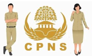 Pemkab Siak Buka 25 Formasi CPNS, Cek di Sini