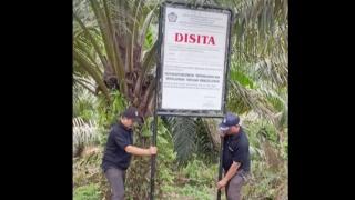 Nunggak Bayar Pajak, Kebun Sawit di Kampar Disita KPP Bangkinang