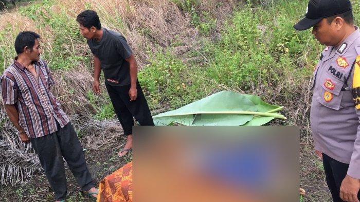 Ada Penemuan Mayat Laki-laki di Kebun Sawit Ujung Batu Rokan Hulu