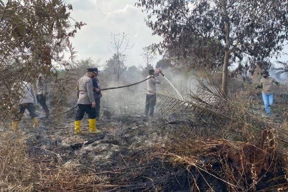 Lahan Kebun Sawit dan Semak Seluas 25 Hektare Terbakar di Kubu Rokan Hilir