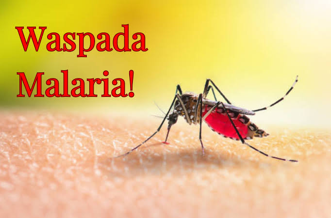 Rohil dan Inhil Marak Kasus Malaria, Diskes Riau Minta Warga Tak Keluar Malam Hari