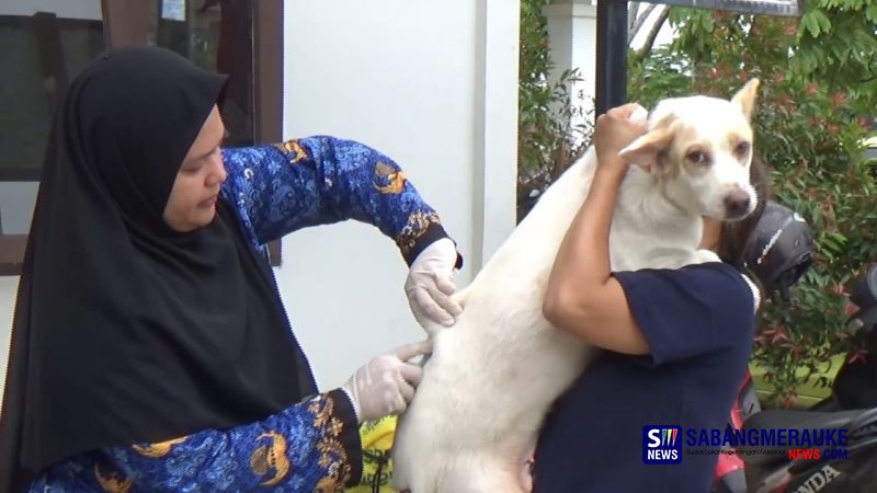 Vaksinasi Rabies Gratis di Pekanbaru Dalam Rangka Sempena World Rabies Day