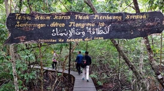 Mengenal Ekowisata Mangrove Sungai Liong di Desa Bantan Tengah, Potensi Baru Sektor Wisata di Bengkalis