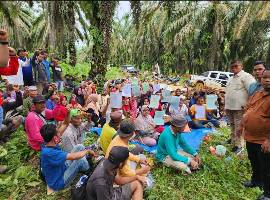 Ironi 2.800 Ha Kebun Sawit PTPN V yang Dibagi-bagi Jokowi ke Warga Kampar, Kini Berujung Masalah Karena Dikelola Tak Transparan