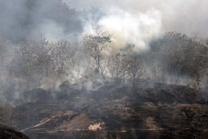 Cuaca Panas, Kebakaran Lahan 1 Hektare Lahan di Kabupaten Siak