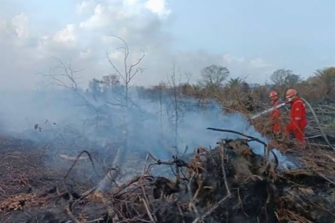 Aroma Asap Karhutla Mulai Menusuk Hidung Warga Riau, Muncul 72 Titik Panas