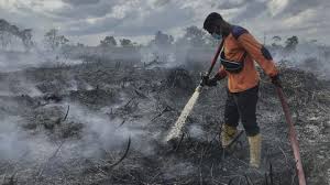 2 Hektare Lahan Terbakar di Kabupaten Pelalawan