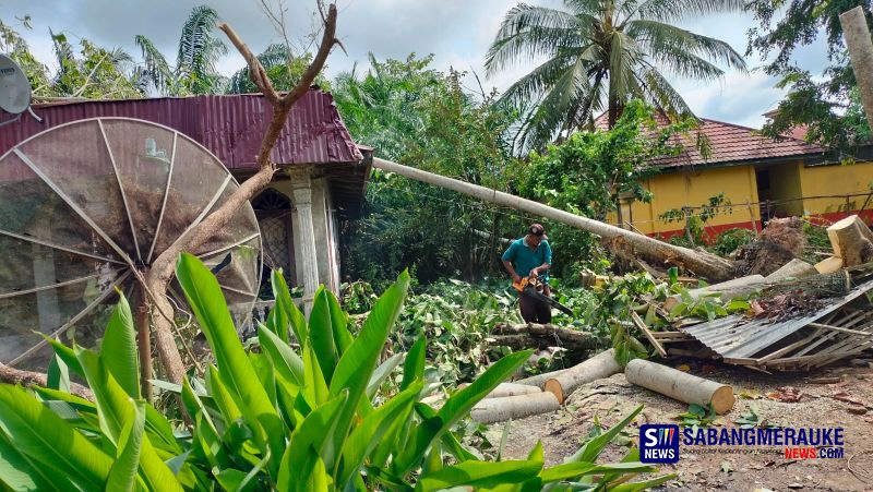 Diterjang Badai, Rumah Warga di Rohil Tertimpa Pohon Tumbang