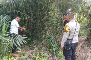 Kronologi 6 Pelajar Siak Cabuli Siswi SMP Tiga Hari Berturut-turut, Coreng Predikat Siak Kabupaten Layak Anak