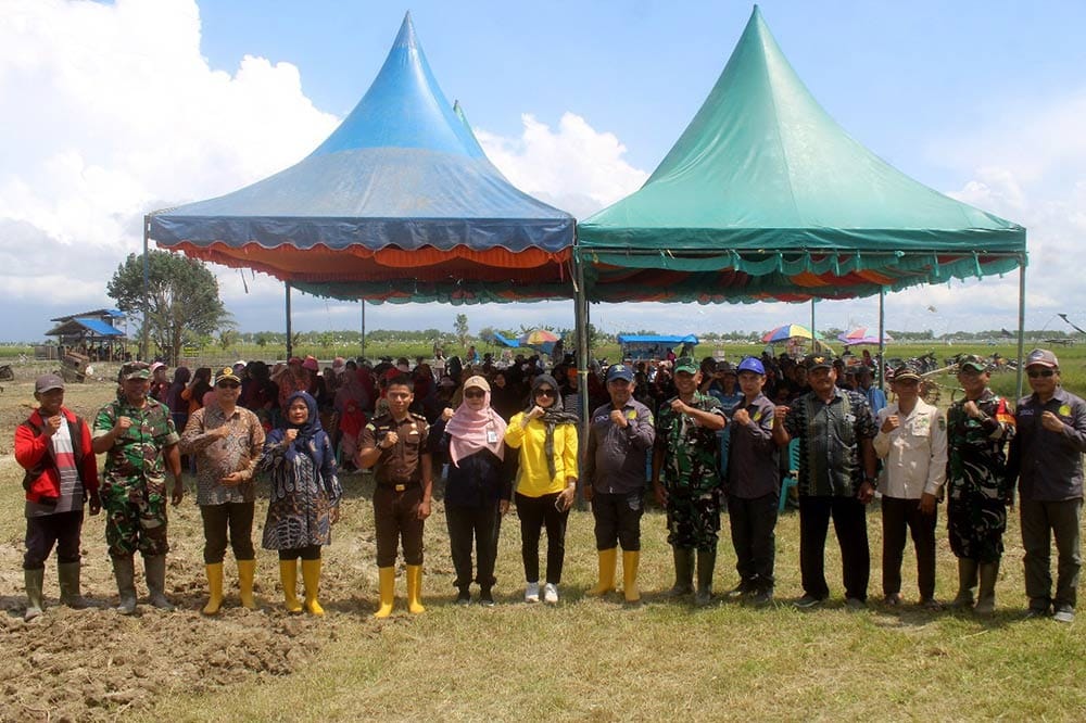 Dukung Ketahanan Pangan, Ketua DPRD Rohil Hadiri Panen Raya di Pekaitan