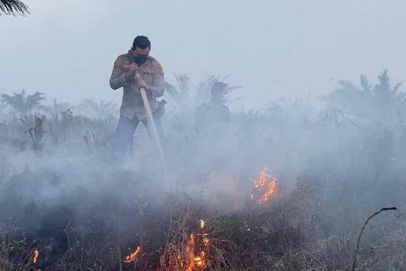 Sepanjang 2024, Ada 2.486,75 Hektare Lahan yang Terbakar di Riau