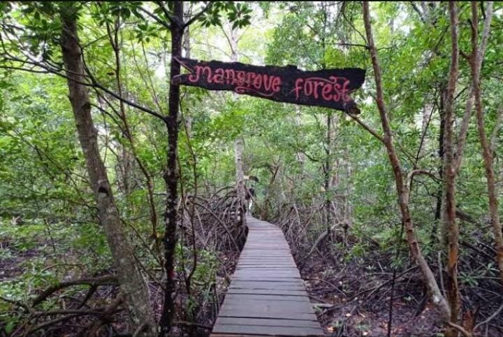 Lindungi Pesisir, Riau Targetkan Rehabilitasi 7.498 Hektare Mangrove hingga 2027