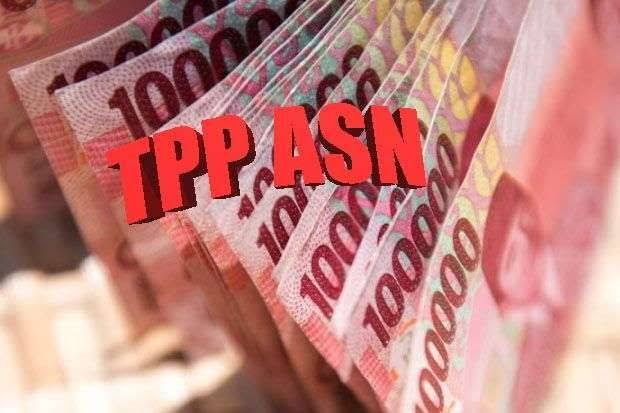 Dana TPP ASN di Kepulauan Meranti Tertunda, Pembayaran Penuh Dijanjikan pada 2025