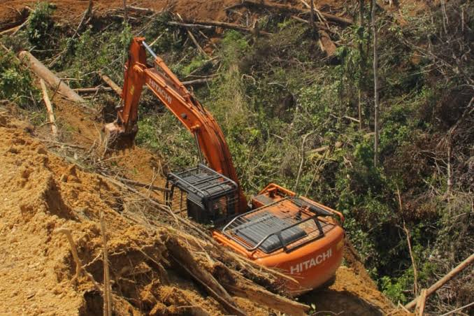 Darurat Lingkungan, Dalam 2 Tahun Hutan Indonesia Rusak 1,9 Juta Hektare