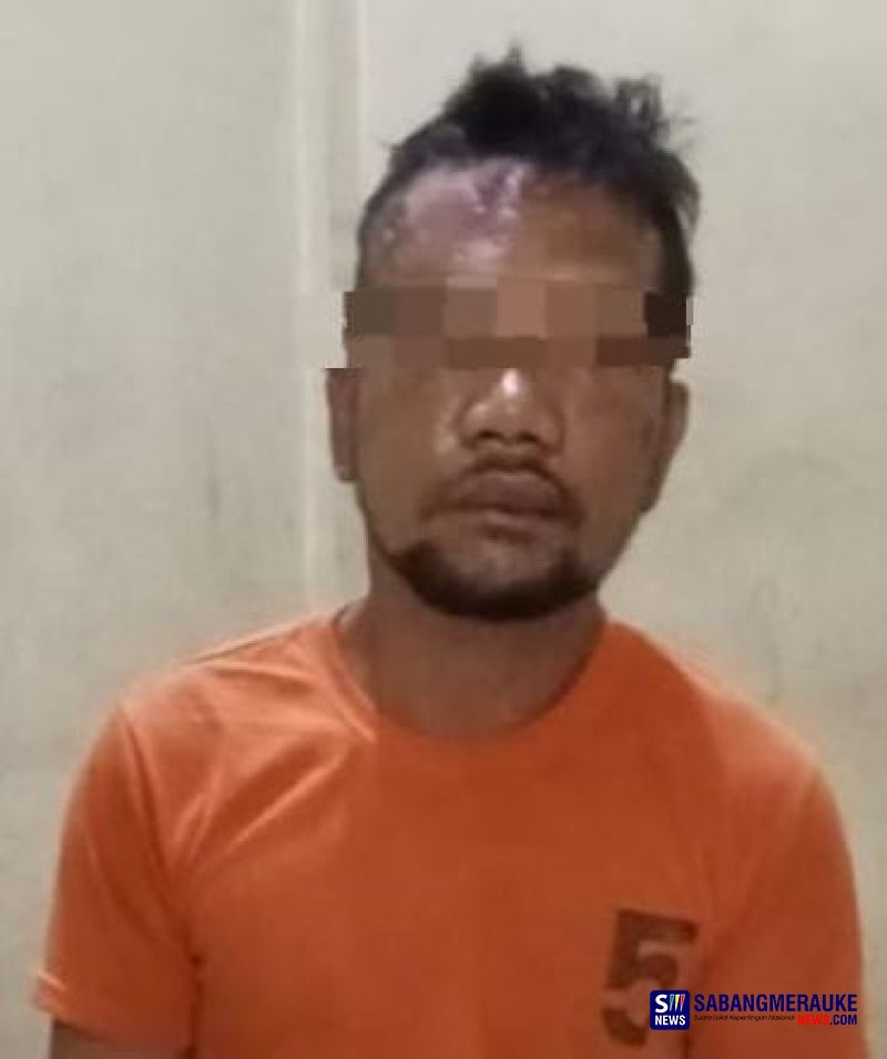 Pencuri Sapi di Rohil Babak Belur Ditangkap Warga Labusel, Kini Mendekam di Polsek Simpang Kanan