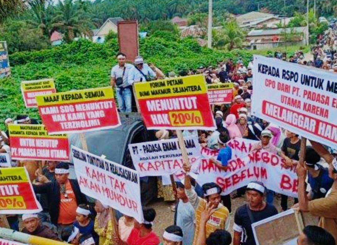 Tuntut Kebun Plasma 20 Persen, Ratusan Warga Rohul Unjuk Rasa ke PT Padasa Enam Utama