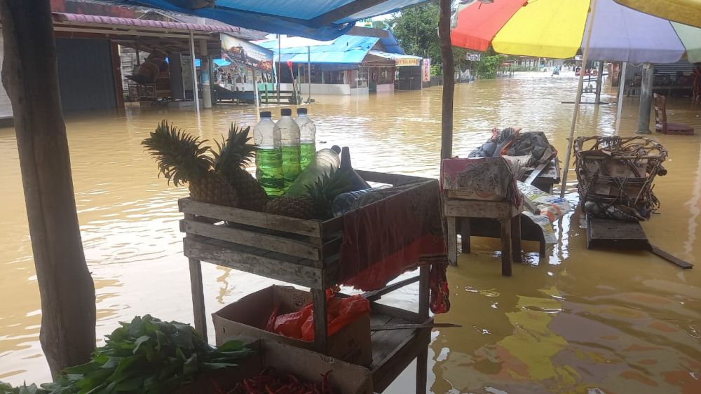 Ratusan Rumah Terendam, Lima Desa di Kampar Dilanda Banjir