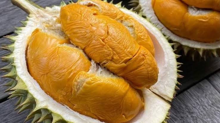 Fakta Durian Bikin Gula Darah Naik, Ini 5 Manfaatnya Untuk Kesehatan