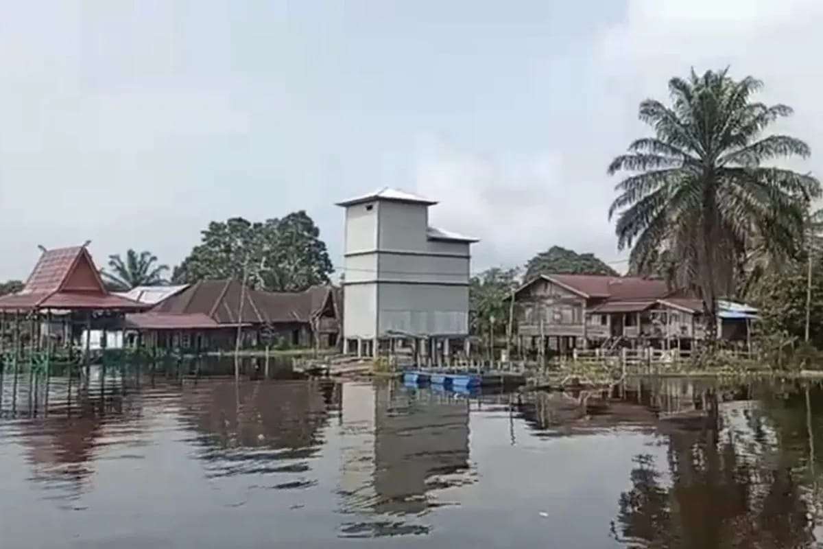 Diterpa Luapan Air, 6 Kecamatan di Pelalawan Terendam Banjir