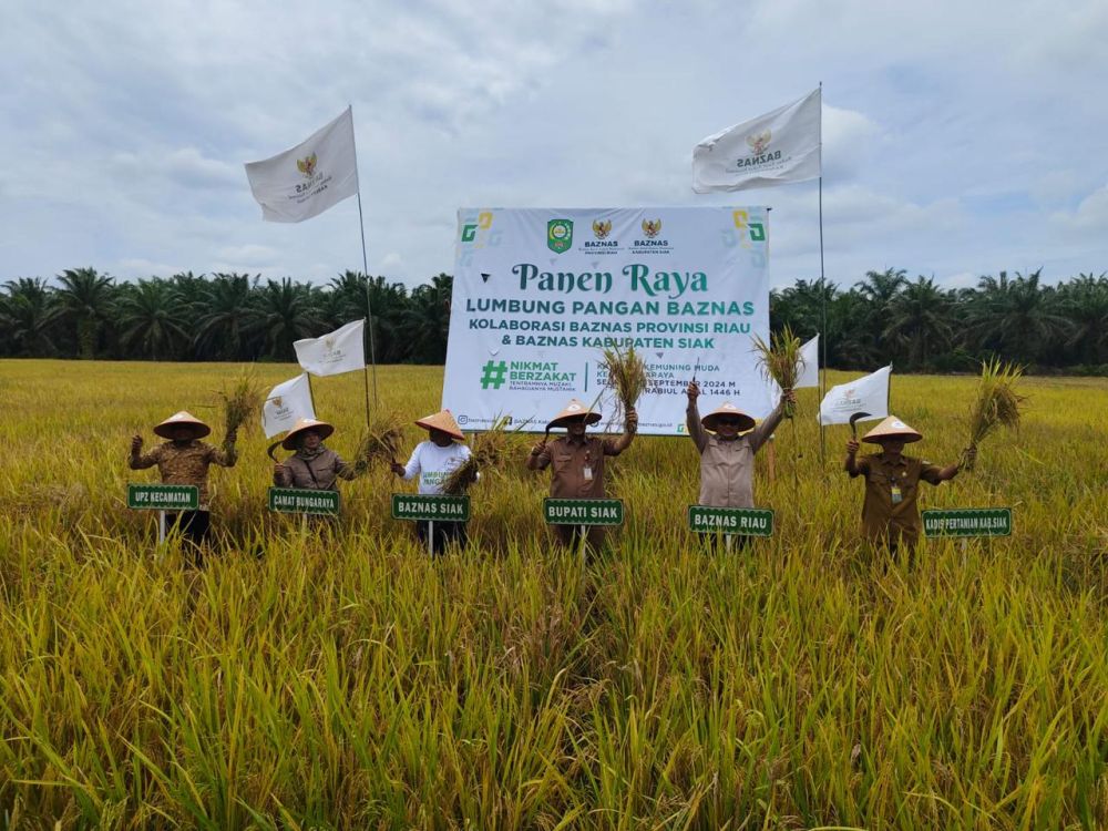 Manfaatkan Zakat, Baznas Riau Sukses Kembangkan Padi di Siak  