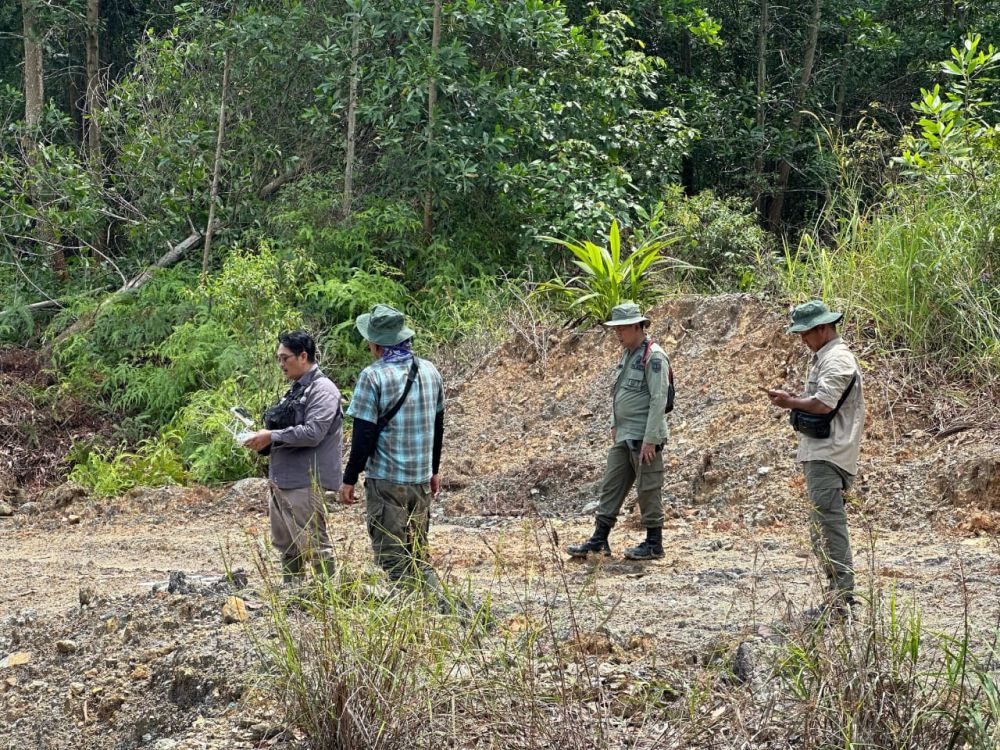 Jual Hutan Lindung Rp 150 Hektare di Inhu, Kades dan Sekdes Ditangkap