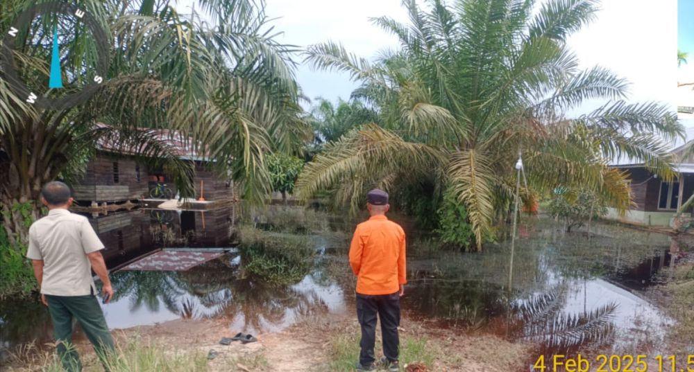 Pasca Banjir Sisakan Endapan Air di Perkebunan Warga