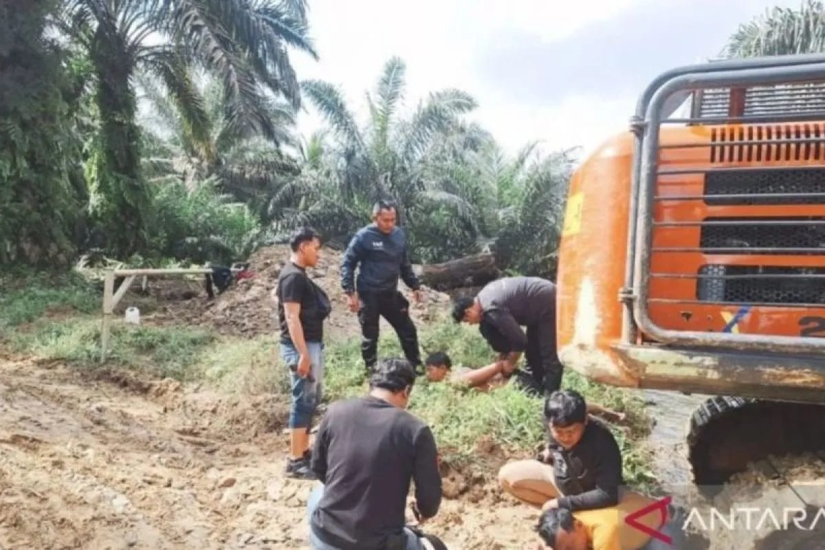 Polisi Tangkap Perambah Hutan Konservasi TNBT di Inhu, Alat Berat Ikut Diamankan