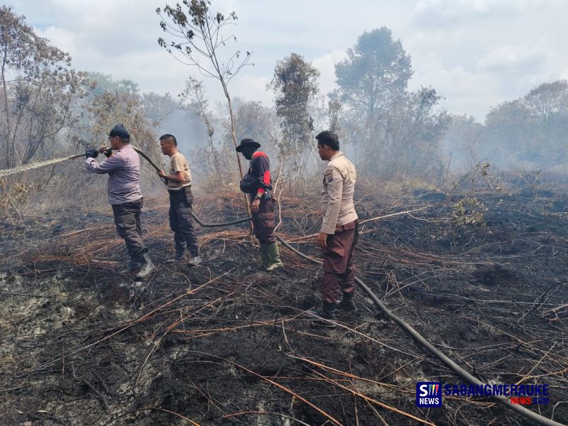 Gawat! FFMC Ungkap Wilayah Kepulauan Meranti Risiko Tinggi Karhutla