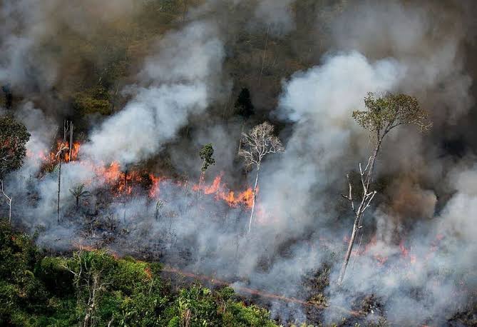 Karhutla Melanda 7 Kabupaten di Riau Seluas 57 Hektare