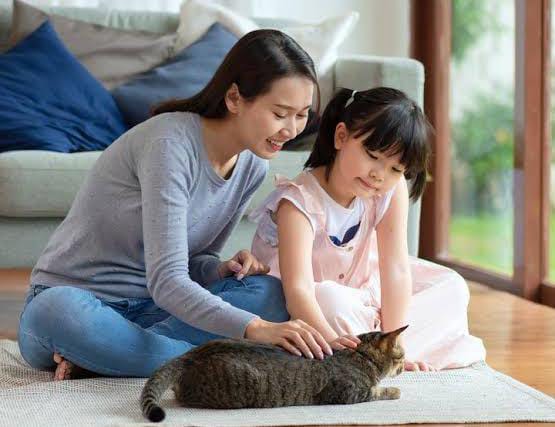 Begini Tips Amankan Perabotan di Rumah dari Cakaran Kucing dan Anjing