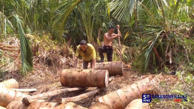 Potret Kepulauan Meranti, Negeri Sagu yang Melimpah Ruah: Indah di Luar, Pahit di Dalam