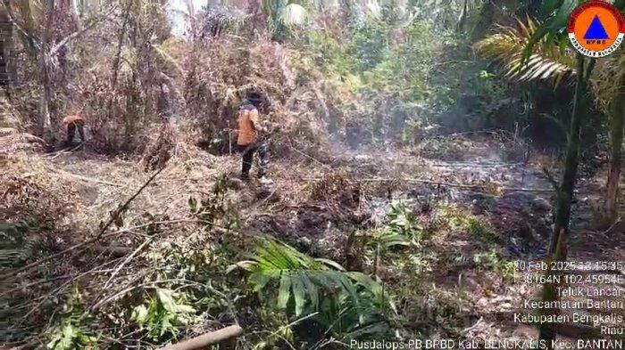 Bengkalis dan Siak Tetapkan Status Siaga Darurat Karhutla, Kepulauan Meranti Menyusul