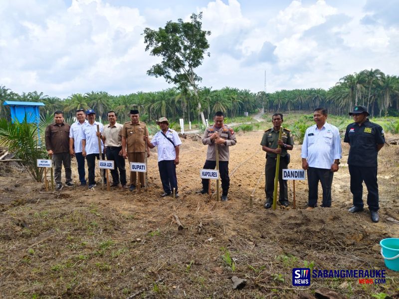 Bekerjasama dengan Apkasindo dan Asian Agri, Polres Rohil Tanam Jagung Sistem Tumpang Sari di Lahan Sawit Program PSR