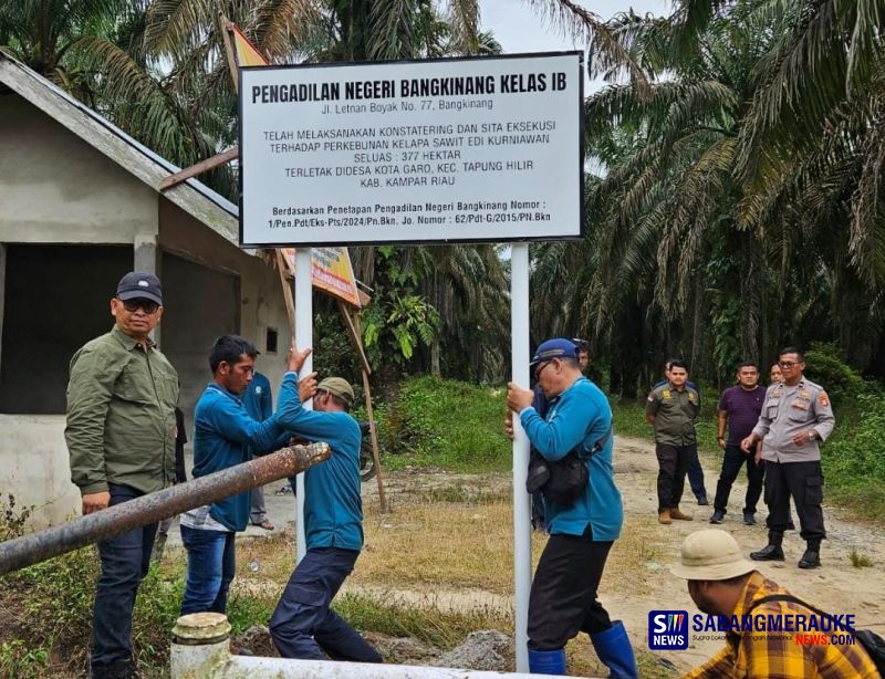 PN Bangkinang Lakukan Konstatering-Sita Jaminan Kebun Sawit 377 Ha di Kampar, Harta Edi Kurniawan Bakal Dilelang untuk Biaya Eksekusi dan Pemulihan