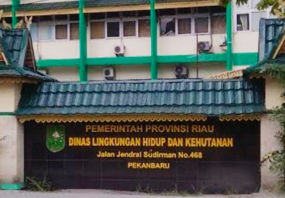 Janggal! DLHK Riau Sebut Kayu Akasia yang Dijual LPHD Rantau Kasih ke PT RAPP Bersumber dari Tanaman Sendiri, Padahal Izin Baru Terbit 2023